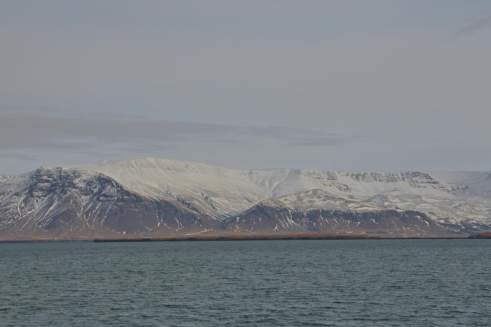 Lagertha'S Apartment,Downtown Reykjavik Bagian luar foto